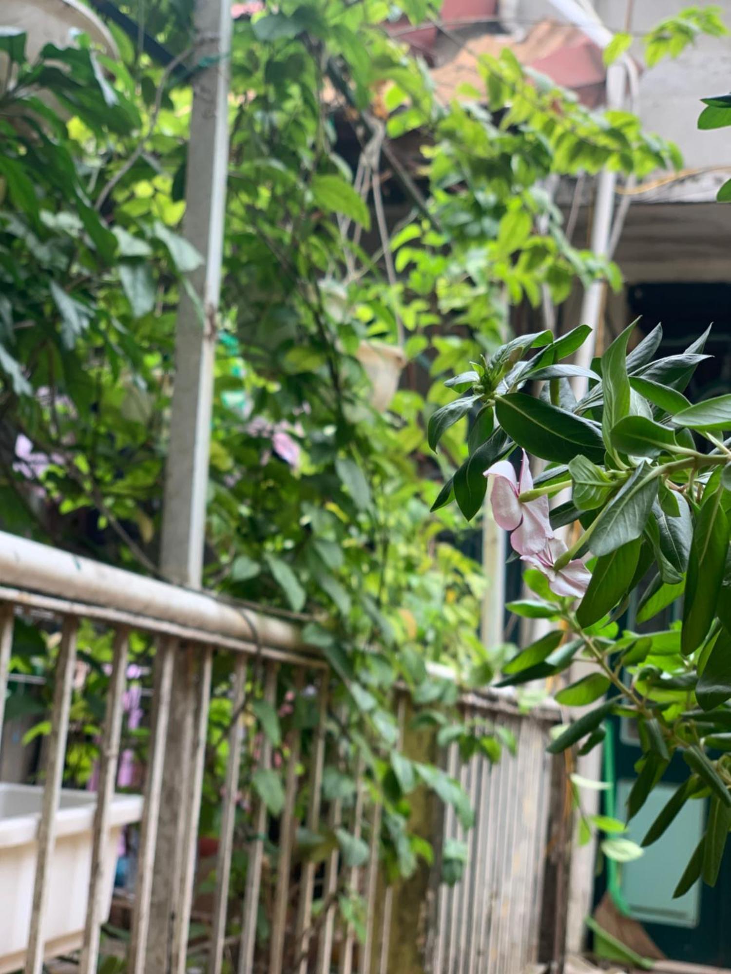 Ferienwohnung Charmcham House Hanoi Exterior foto